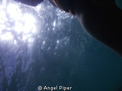 the sun as i swim, No edit or filter. by Angel Piper 